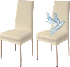Coprisedia Impermeabile Elasticizzato - Beige