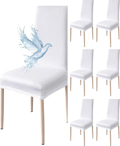 Coprisedia Impermeabile Elasticizzato - Bianco Puro / 6 pezzi